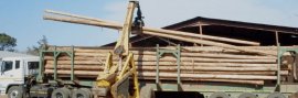 Treated Timber (Utility Poles