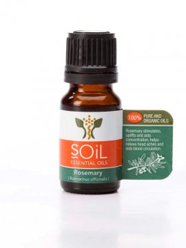 Bulk Certified Organic Essential Oils - Rosemary