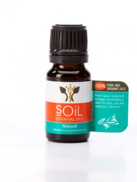 Bulk Certified Organic Essential Oils - Niaouli