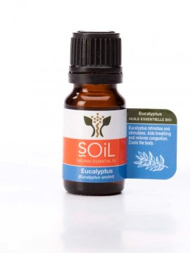 Bulk Certified Organic Essential Oils - Eucalyptus Smithii