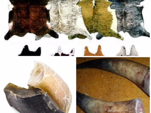 Drysalted Skins- Cows, Goat, Sheep & Game
Wet salted Skins- 	Cows, Goat, Sheep &Game		
Raw Cow Hor